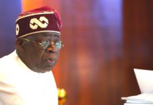 2027 Polls: Serving and Ex-LG Councillors to Drum Up Support for Tinubu