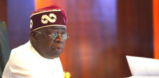 2027 Polls: Serving and Ex-LG Councillors to Drum Up Support for Tinubu