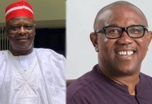 Obasanjo Supports Peter Obi Amid Growing ADC Pressure for Obi–Kwankwaso Joint Ticket