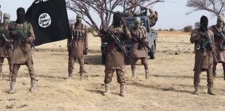 Maiduguri Route Attack: Boko Haram Destroys Food Trucks, Sparks Panic