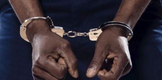 India Arrests Two Nigerians Over Fraud-Related Offences