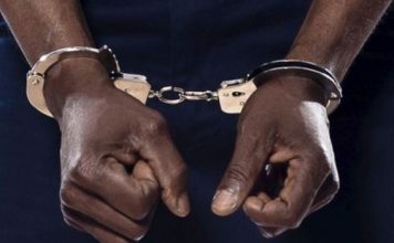 India Arrests Two Nigerians Over Fraud-Related Offences