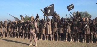 Borno Security Alert: Boko Haram and ISWAP Set Up Bases Near NNPCL