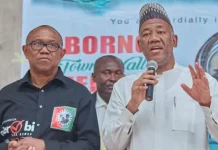 Obi’s Return to Labour Party Not Legally Supported, Says Otaokpukpu, Faults Datti