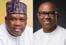 Peter Obi Removes Daniel Bwala, Says ‘Count Me Out of Your Greed’