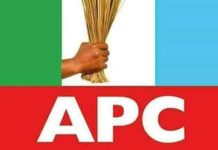 ‘Automatic Tickets to NASS Members Undermine Party Democracy’ – APC Chieftain