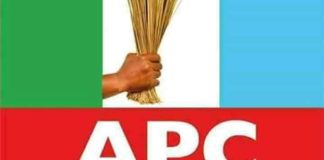 ‘Automatic Tickets to NASS Members Undermine Party Democracy’ – APC Chieftain