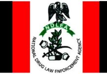 NDLEA Intensifies Fight Against Drugs in Edo, Seizes N1.8bn, Arrests 104