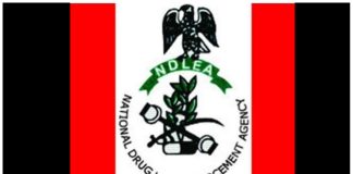 NDLEA Intensifies Fight Against Drugs in Edo, Seizes N1.8bn, Arrests 104