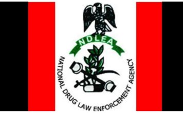 NDLEA Intensifies Fight Against Drugs in Edo, Seizes N1.8bn, Arrests 104