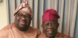Momodu Warns: Tinubu May Wipe Out Opposition Without Public Resistance