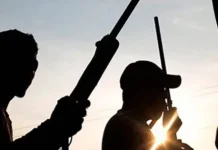 Gunmen Kill Three Police Officers, Four Civilians in Taraba