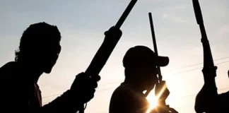 Gunmen Kill Three Police Officers, Four Civilians in Taraba