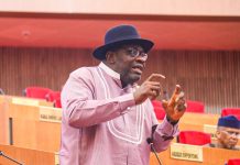 Senator Dickson Opens Up on Presidential Ambition Against Tinubu in 2027