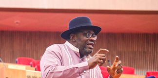 Senator Dickson Opens Up on Presidential Ambition Against Tinubu in 2027