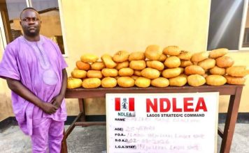 Ex-Lagos council chief arrested as NDLEA recovers illicit drugs in baby diapers
