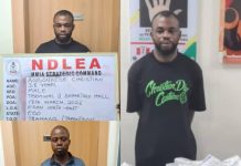 NDLEA intercepts opioids, meth in carton walls, winter jackets, cream at Lagos airport
