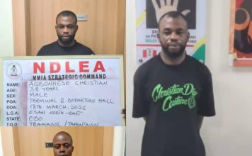 NDLEA intercepts opioids, meth in carton walls, winter jackets, cream at Lagos airport