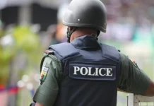 Police Arrest Robbery Suspects, Recover Stolen Tricycles in Port Harcourt