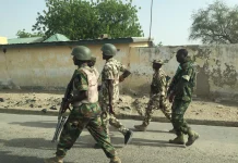North-East Operations: Army Claims Successes Amid Reactions, Survivor Recounts Abduction Experience