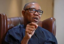 ADC Chieftain Questions Igbos on Low Membership Registration: ‘How Do We Deliver Peter Obi?