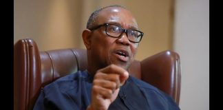 ADC Chieftain Questions Igbos on Low Membership Registration: ‘How Do We Deliver Peter Obi?