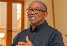 Security Operatives Detain Suspect Linked to Threat Against Peter Obi