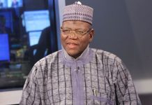 PDP Insider Umar Sani Explains Why Lamido Missed Out on National Chairmanship Contest