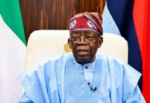 We Are Not Building a One-Party State – Tinubu Clarifies