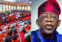 Tinubu Requests Senate Approval for Fresh $6 Billion Loans