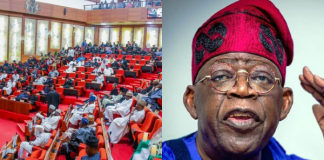 Tinubu Requests Senate Approval for Fresh $6 Billion Loans