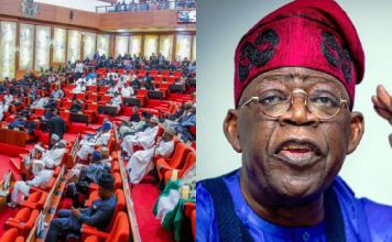 Tinubu Requests Senate Approval for Fresh $6 Billion Loans