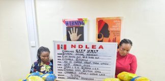 Massive Cocaine Shipment Concealed in Dry Fish Heads Uncovered by NDLEA