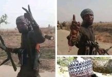 Killing of bandit leader Alti Triggers Violent Reprisals Across Zamfara–Katsina Forests