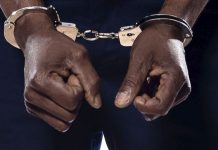 15-Year-Old Allegedly Kills Guardian, Confesses ‘I Just Hate Her