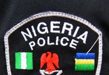 Call for Regional Police Reform as Key to True Federalism, Says Expert