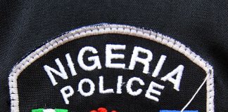 Call for Regional Police Reform as Key to True Federalism, Says Expert