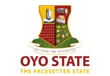 Oyo Cattle Farmer Claims Government Officials Raided Farm at Midnight