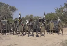 Brigade Commander Killed in Boko Haram Assault in Borno