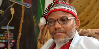 Ejimakor: Igbo Voters Not Interested in Elections Amid Kanu’s Continued Detention