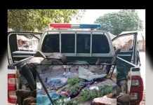 Easter Violence: Amnesty International Accuses Authorities of Failing Citizens