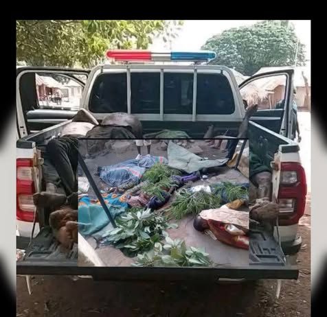 Easter Violence: Amnesty International Accuses Authorities of Failing Citizens