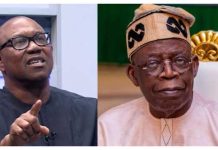 Only Obi Can Give Tinubu a Tough Contest — Iginla Tells Opposition