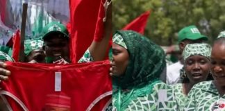 Woman in Viral Kano Underwear Campaign Secures Political Role