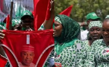 Woman in Viral Kano Underwear Campaign Secures Political Role
