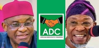 ADC Lawyer Alleges INEC Confirmed Election of David Mark, Aregbesola,