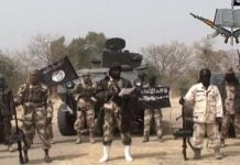 Boko Haram Allegedly Issues Threat After 72-Hour Ultimatum To Execute 416 Captives In Borno