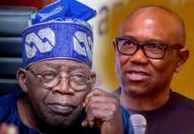 Peter Obi Stands Out as Sole Opposition with Solid Support Against Tinubu – Wali