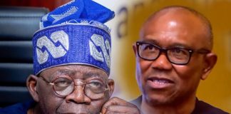 Peter Obi Stands Out as Sole Opposition with Solid Support Against Tinubu – Wali