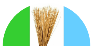 2027 Election: APC Leader Bows Out of Kaduna South Senatorial Race